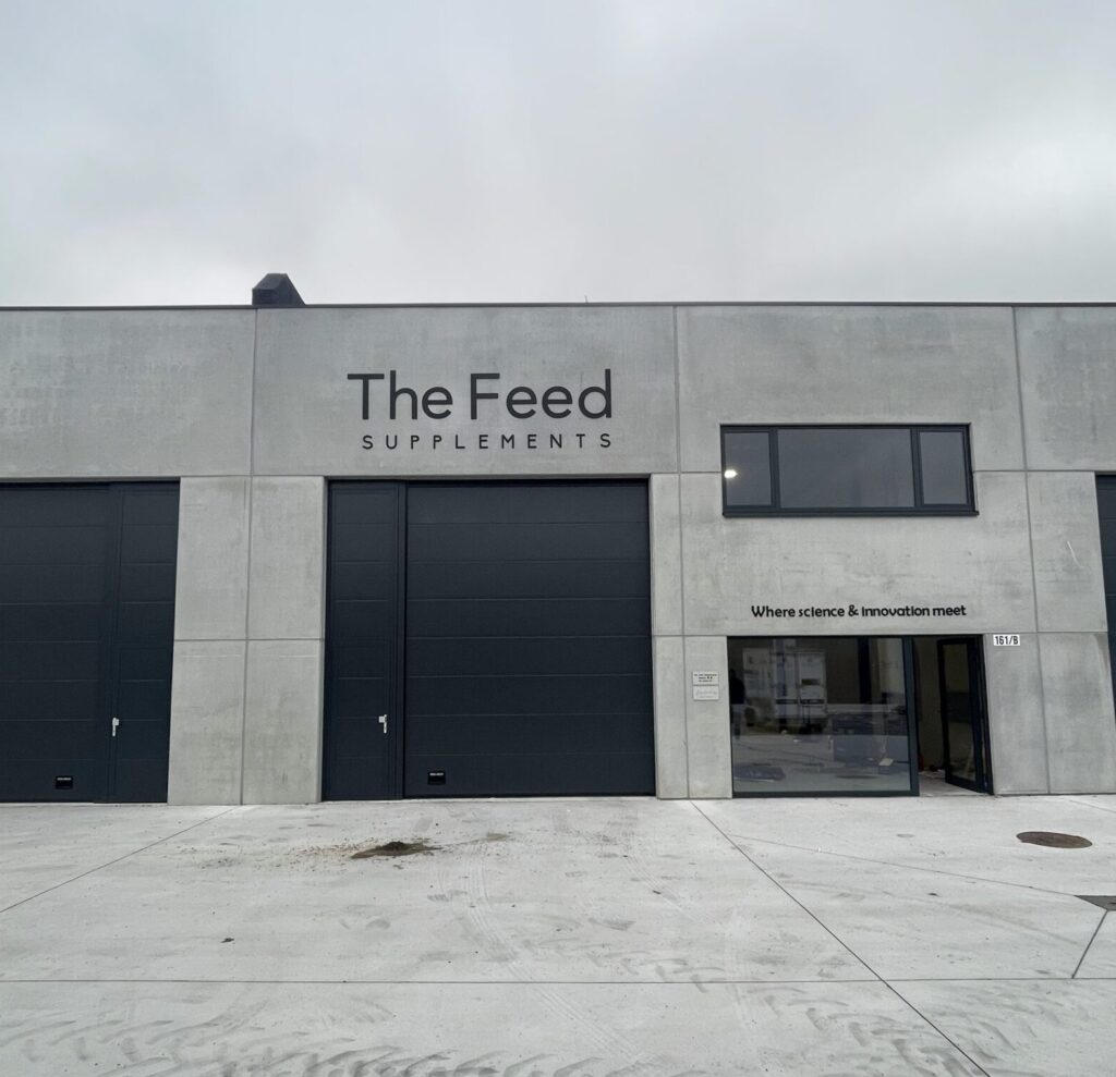 IMG_4267-scaled-e1750071944250